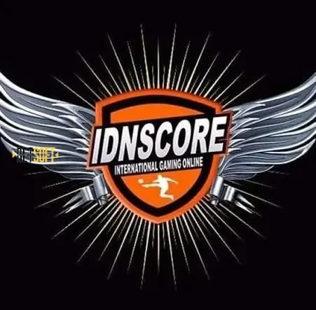 Logo idnscore